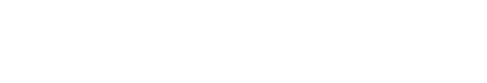 ELEVIN